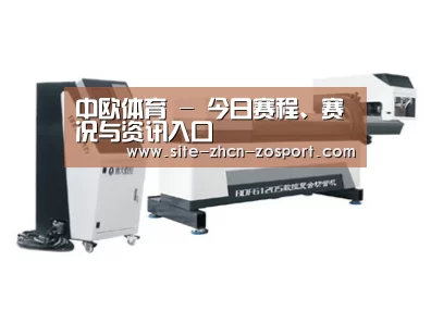 案例展示三