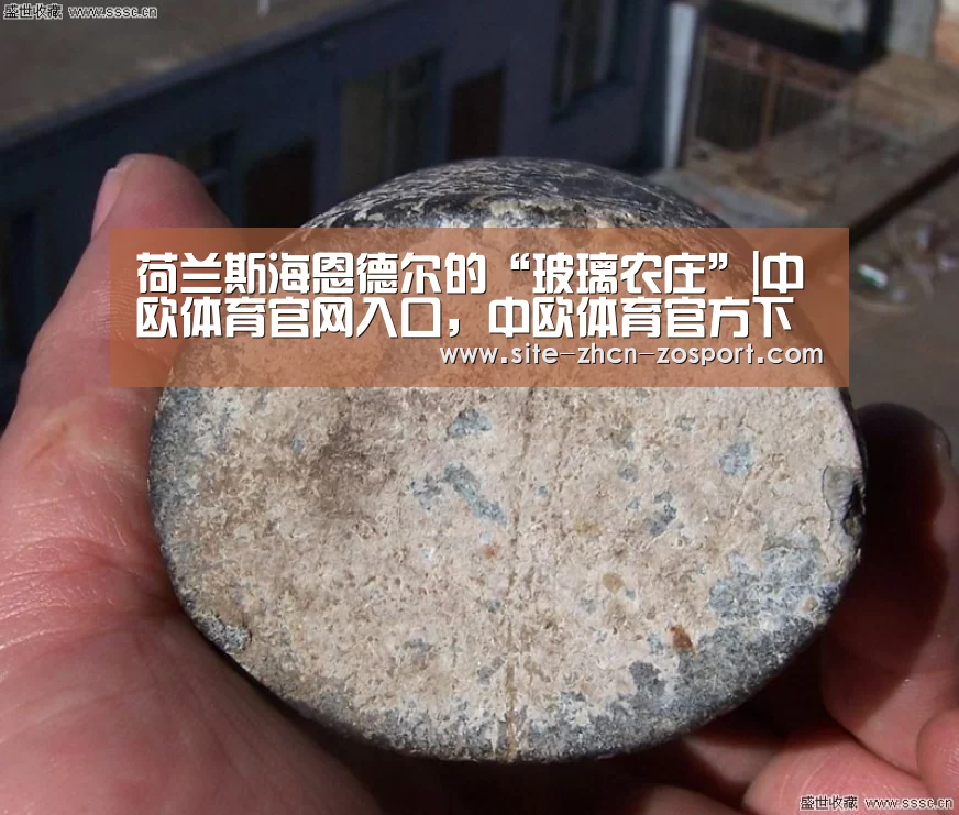 荷兰斯海恩德尔的“玻璃农庄”|中欧体育官网入口,中欧体育官方下载,中欧体育平台(图4) 中欧体育官网入口,中欧体育官方下载,中欧体育平台