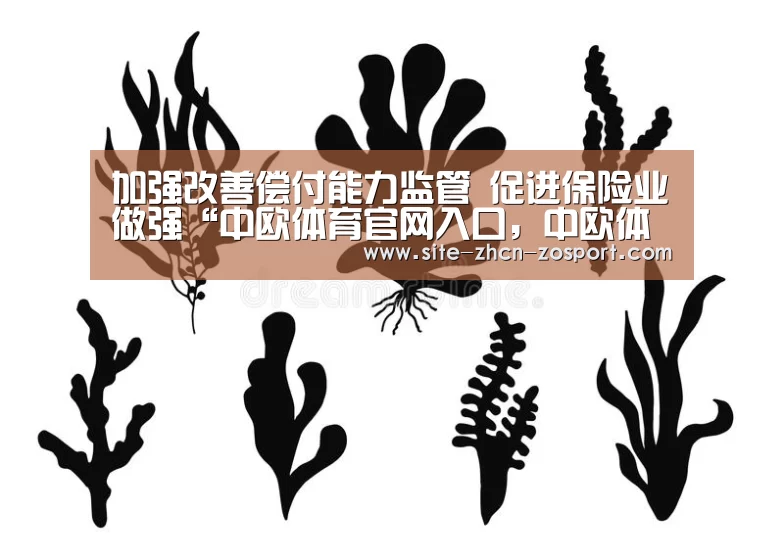 加强改善偿付能力监管 促进保险业做强“中欧体育官网入口,中欧体育官方下载,中欧体育平台”(图1) 中欧体育官网入口,中欧体育官方下载,中欧体育平台