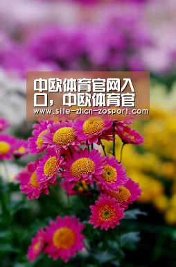 中欧体育官网入口，中欧体育官方下载，中欧体育平台