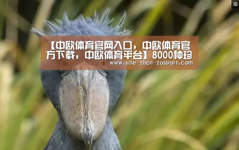 【中欧体育官网入口,中欧体育官方下载,中欧体育平台】8000种珍奇植物入住青岛世园会奇特仙人掌现身(图1) 中欧体育官网入口,中欧体育官方下载,中欧体育平台