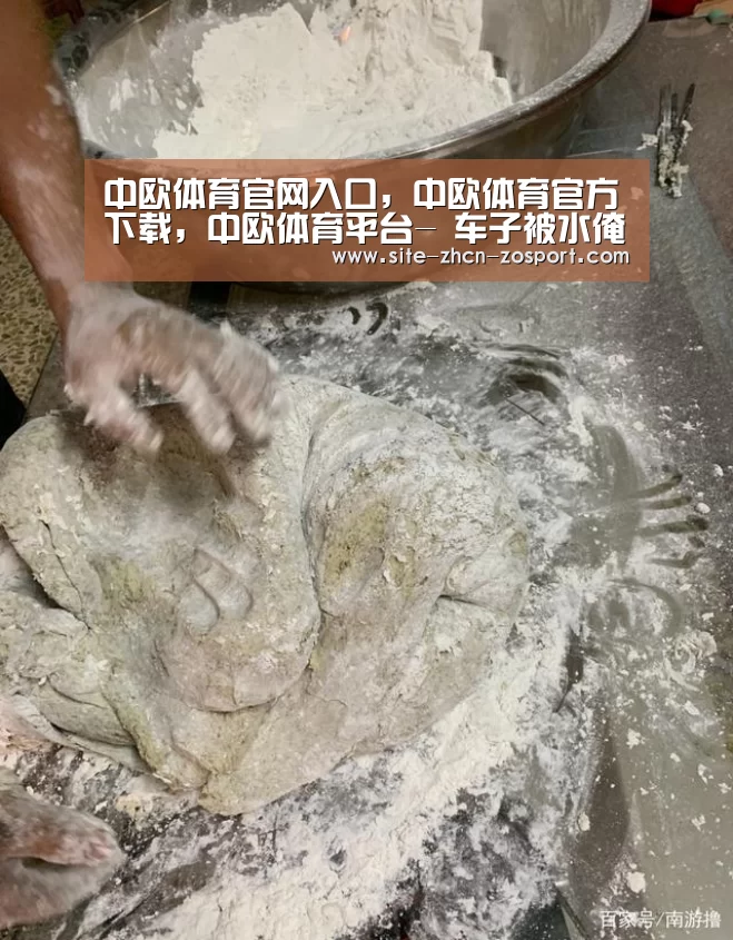 中欧体育官网入口，中欧体育官方下载，中欧体育平台