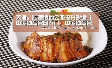 中欧体育官网入口，中欧体育官方下载，中欧体育平台