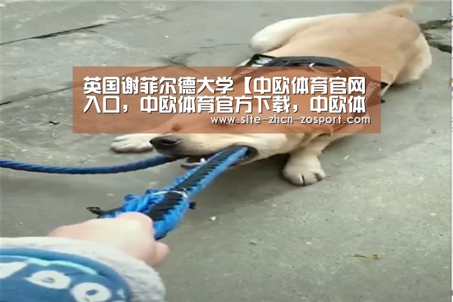 英国谢菲尔德大学【中欧体育官网入口,中欧体育官方下载,中欧体育平台】(图3) 中欧体育官网入口,中欧体育官方下载,中欧体育平台