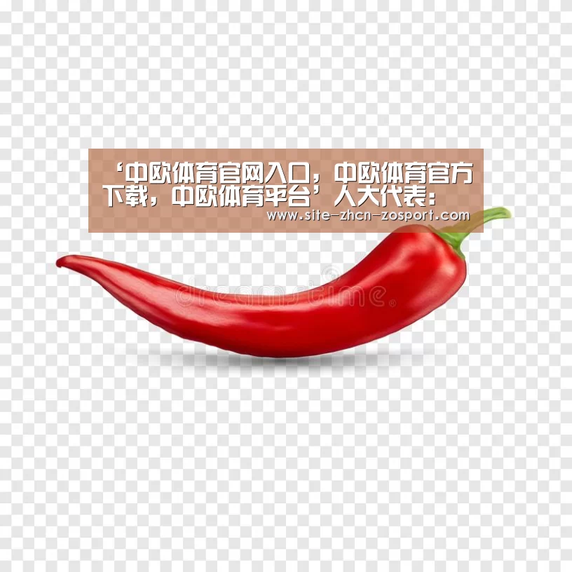 中欧体育官网入口，中欧体育官方下载，中欧体育平台